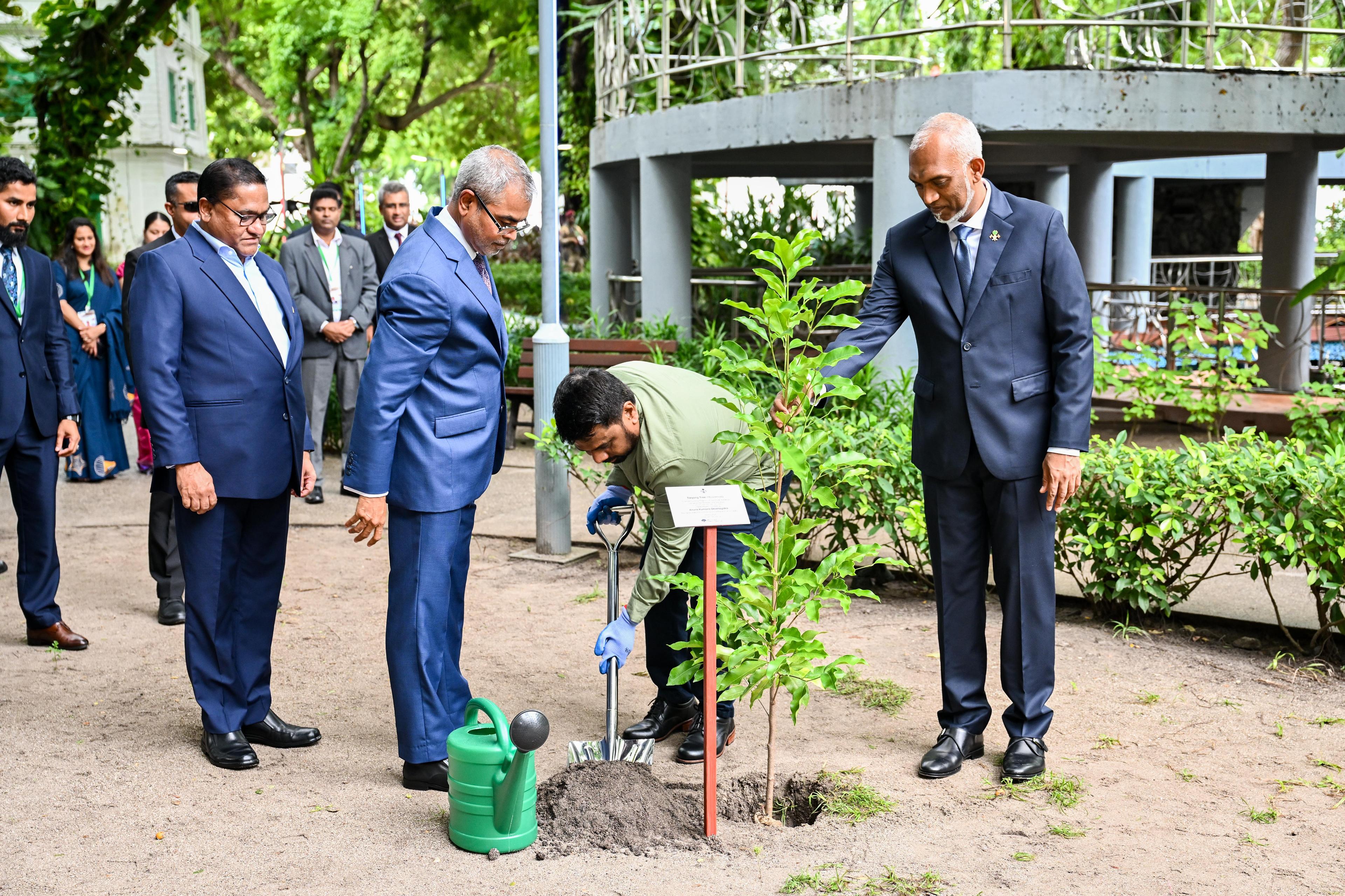 ސްރީލަންކާގެ ރައީސް ސަލްޓަން ޕާކްގައި މޫނިމާ ގަހެއް އިންދަވައިފި