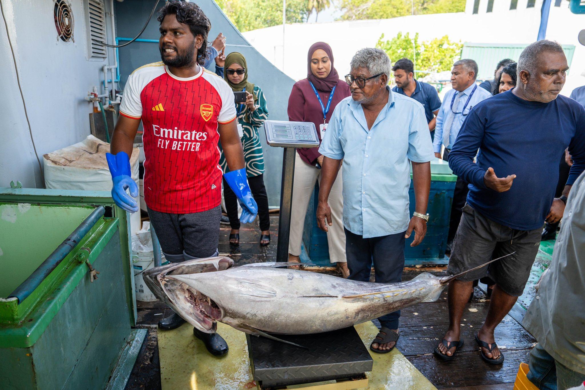 މިފްކޯއިން 10ކިލޯގެ ކަންނެލި ގަންނަން ފަށައިފި