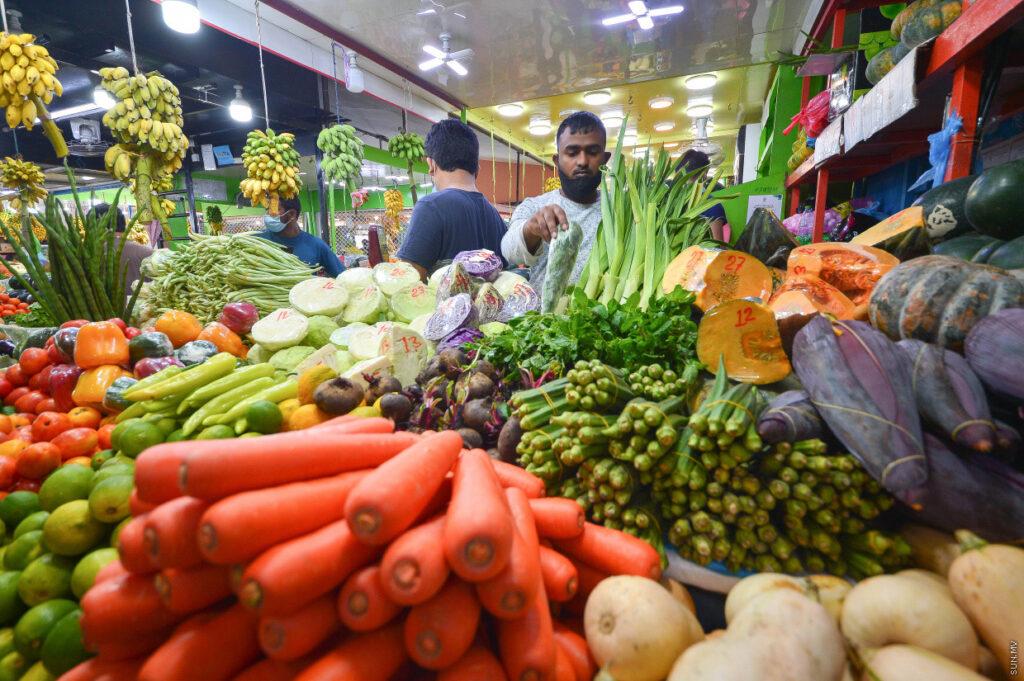 "އަސާސީ ބާވަތްތައް ލިބޭނެމަގު ކަށަވަރުކުރާނަން"