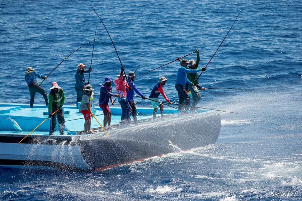 އިގުތިސޯދީ ދަތިކަމުގެ ތެރޭގައިވެސް މަސްވެރިކަމަށް އާ ދިރުމެއް