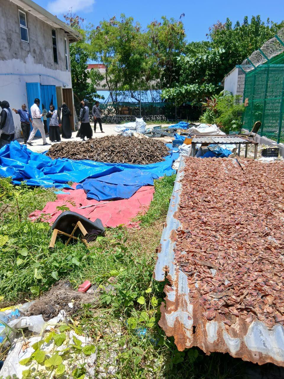 ސާފުތާހިރުކަން ކުޑަކޮށް ވިލިމާލޭގައި ވަޅޯމަސް ތައްޔާރުކުރި ބަޔަކު ހުއްޓުވައިފި 