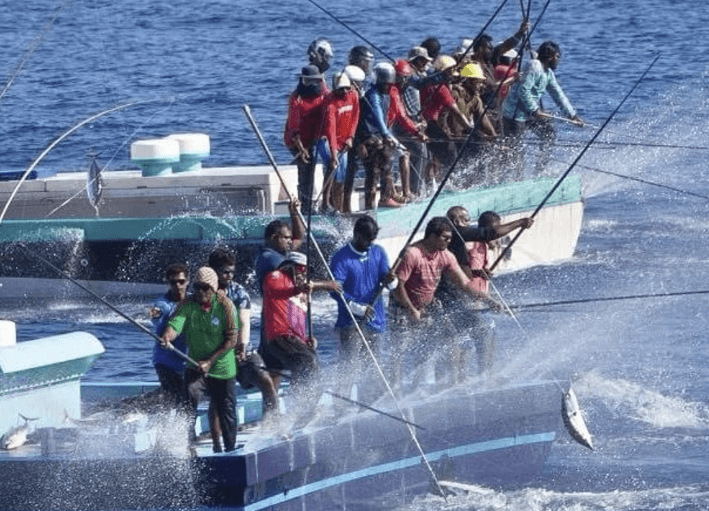 މިފްކޯގެ ހިންގުން ހަރުދަނާ ކުރުމުގައި ބައެއް ކާމިޔާބީތައް މިހާރު ވެސް ލިބިއްޖެ: ރައީސް