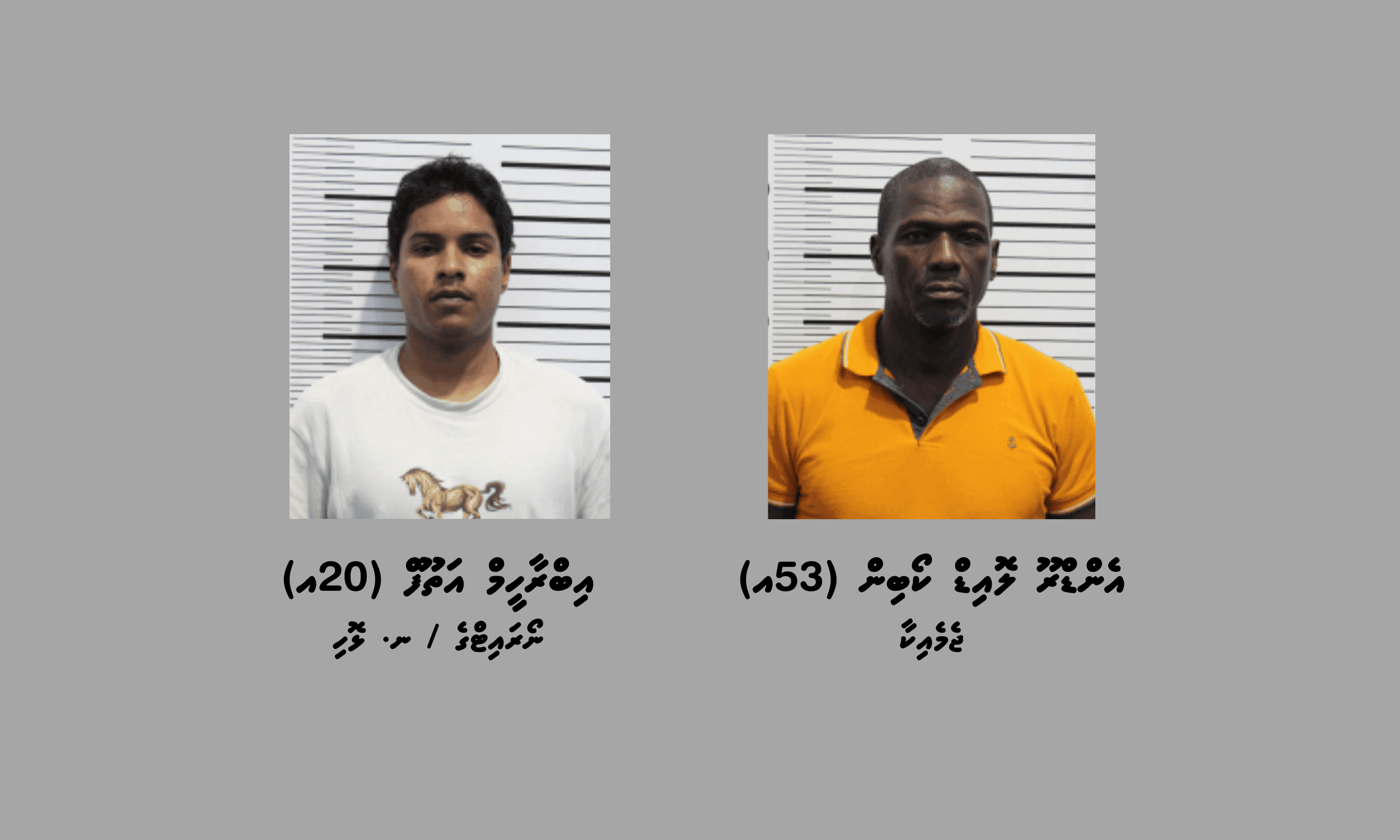 ވައިގެ މަގުން މަސްތުވާތަކެތި އެތެރެކުރަން އުޅުނު ބަޔަކު ހައްޔަރު ކޮށްފި