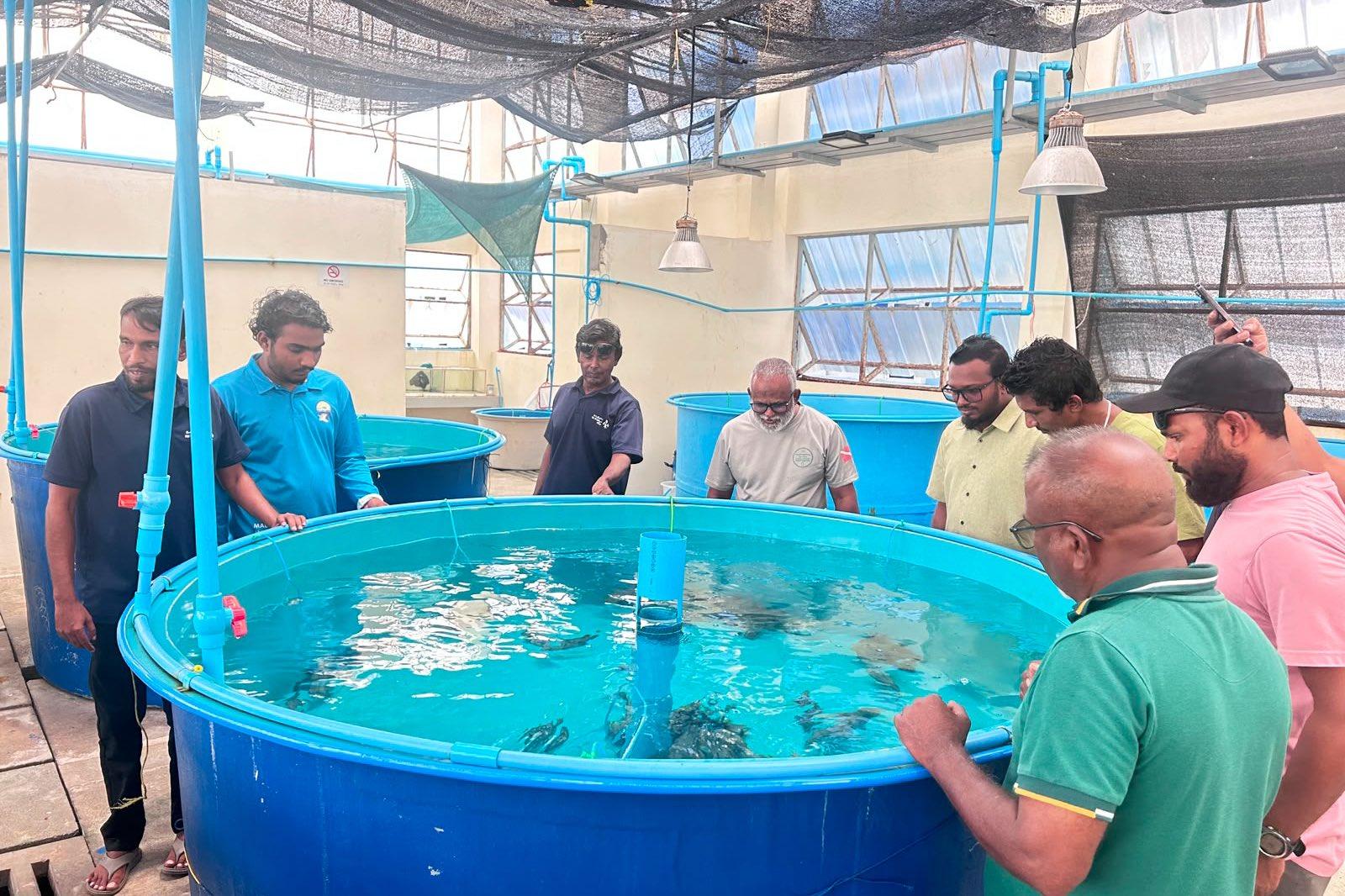 އަހަރުގެ ދެވަނަ މެރިން ހެޗަރީ ސްކިލްސް ޑިވެލޮޕްމަންޓް ޕްރޮގްރާމް ފަށައިފި